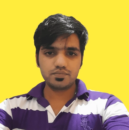 freelance website designer in delhi,niketank mogha
